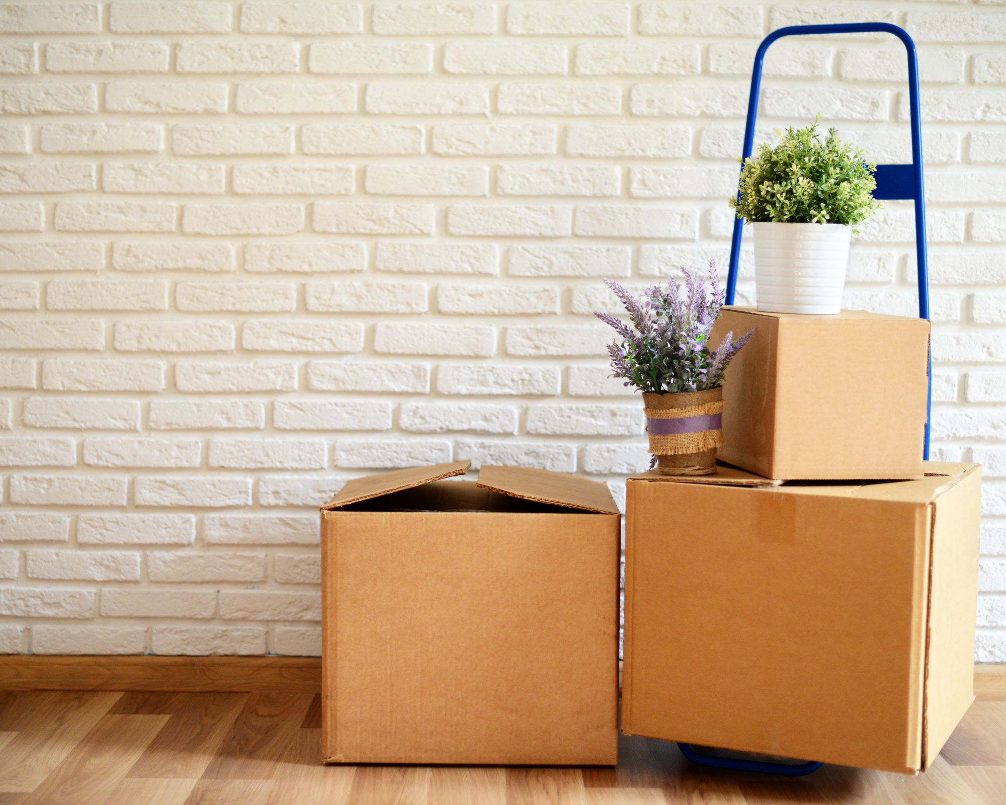 kingston house clearance